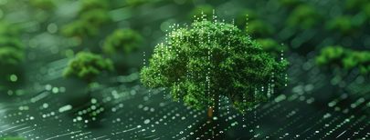 Ein Baum vor Code - Symbolbild zum Thema: Software klimafreundlich machen mit Green Software Development Ein Baum vor Code - Symbolbild zum Thema: Software klimafreundlich machen mit Green Software Development